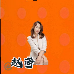 赵海